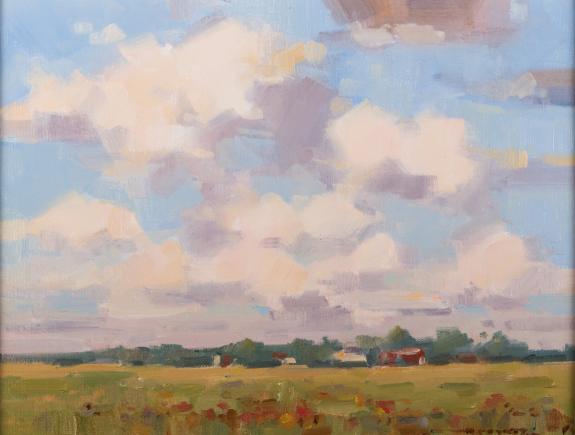 Field of Blooms